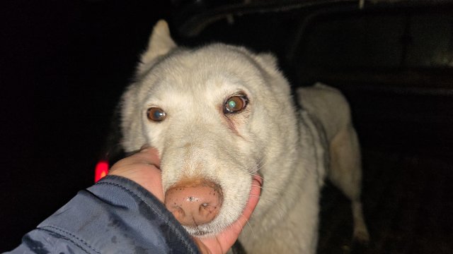 Злата по приезду