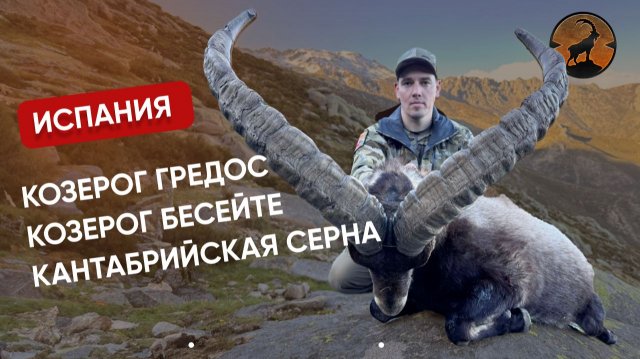 ТРОФЕЙНАЯ ГОРНАЯ ОХОТА В ИСПАНИИ | КРОВАВАЯ КОРРИДА | РЕАЛЬНАЯ ОХОТА