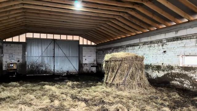 Продали двух молочных нетелей!Привезли еще пять Гереф