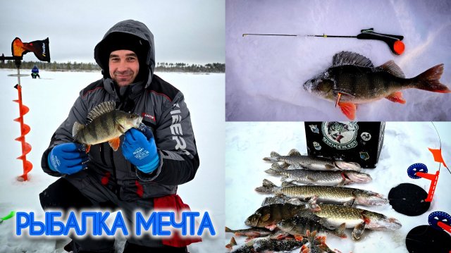 РЕАЛЬНО КОСИМ ОКУНЕЙ