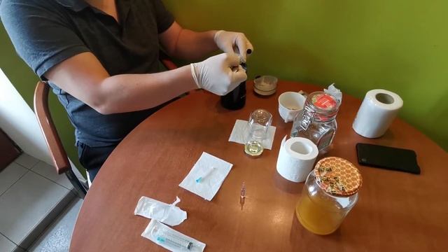 Готовим жидкий мицелий ежевика (ежовика) гребенчатого.