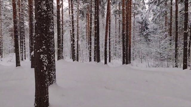 Мотобуксировщик НЕВА МС1-ZS (GB225) Обкатка.