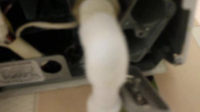 Газовая калонка NEVA 5611обзор замена батареек