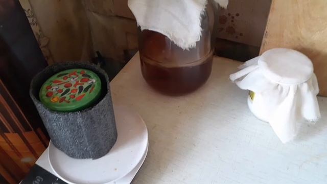 Как вылечить чайный грибок от плесени.