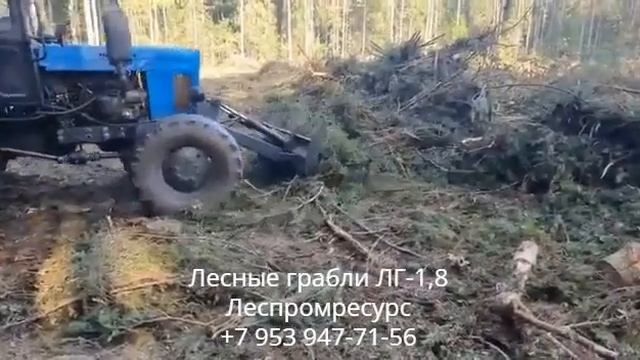 Лесные грабли ЛГ-1,8 Леспромресурс в работе на МТЗ-82