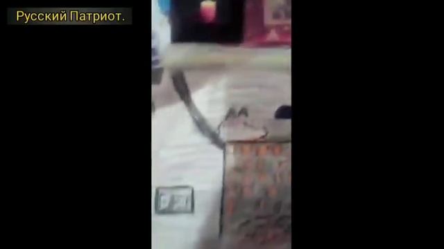 Видела ад и рай. Свидетельство Людмилы. Ад и его уровни. Родовые грехи.