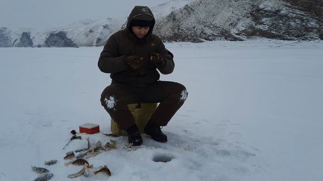 Ловля Окуня зимой.