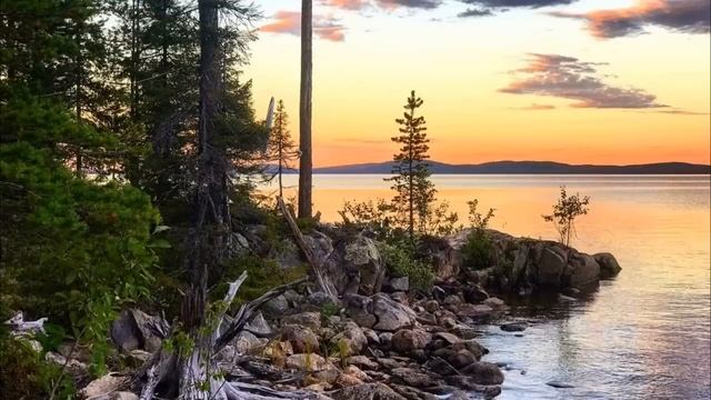 - Незваные гости совсем обнаглели:Ты сам своих родственников выгонишь или..Истории из жизни