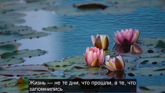 Гениальные цитаты про жизнь || Мудрые высказывания, афоризмы великих людей