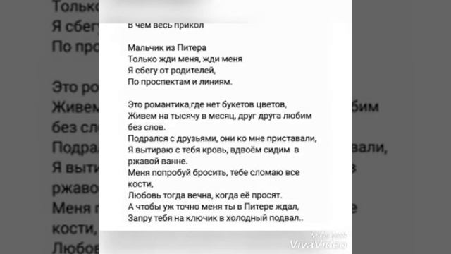 Мальчик из Питера /Алена Швец/с текстом