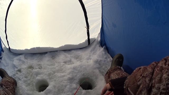 ловля плотвы зимой на болтушку манку