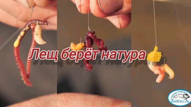 На что ловить леща весной? Какие наживки использовать на леща? Рыбалка на леща весной!Лещ дуреет 😳!