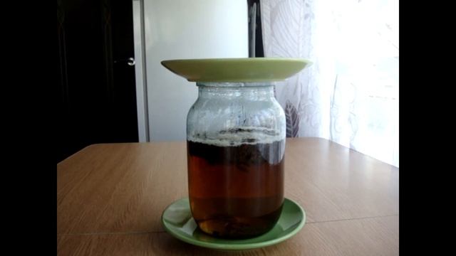 Ошибки при выращивании чайного гриба с нуля.