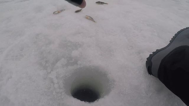 Рыбалка Anatoliy Strelec с сыном Зимняя рыбалка Ловля на мормышку