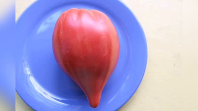 ТОМАТЫ. Самые лучшие сердцевидные сорта томатов. 16 вкусных урожайных сортов.