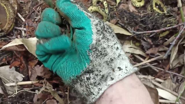 Коп на Сахалине по войне. День японских противогазов