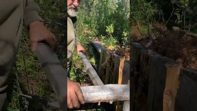 Охота на глухаря. Старинный способ ловли птицы!