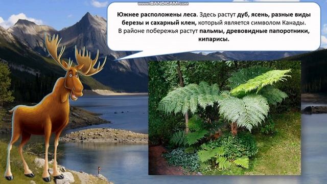 2 класс. Окружающий мир. Путешествие по материкам. Северная Америка