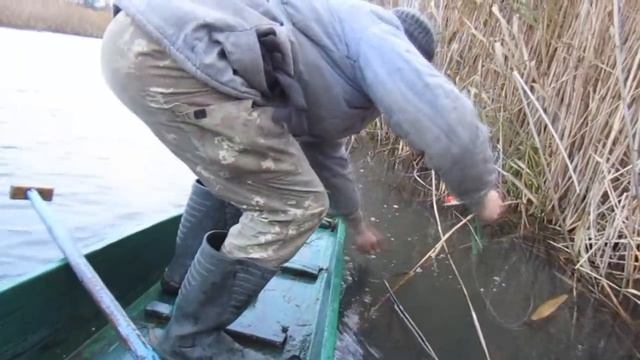 Ловля щуки на бутылку и кружки. Клюет всегда