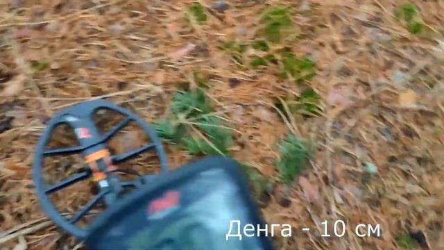 Тест на полигоне - Minelab Equinox 800 (15x12" DD Smart Coil)