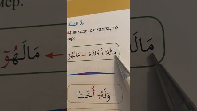 9 урок по рецитации Корана 2 части. Связанное удлинение. (Малая и большая связь)