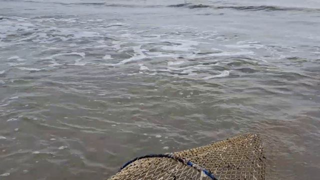 рыбалка в Каспийском море проверил Вентер