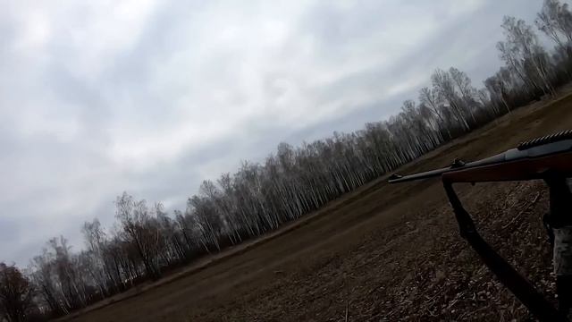 ОХОТА НА ЛОСЯ