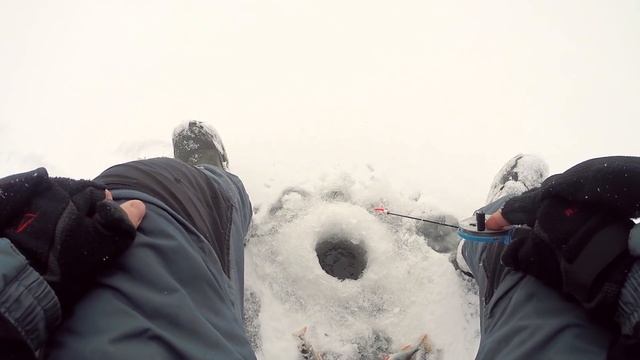 БЛЕСНА или БАЛАНСИР? Что сработает лучше? Рыбалка на лесном озере