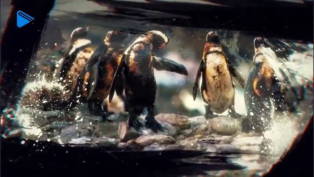 7 класс - География - Материки, океаны, народы и страны