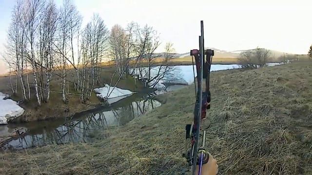 Охота с луком на бобра Бобр ранил охотника.