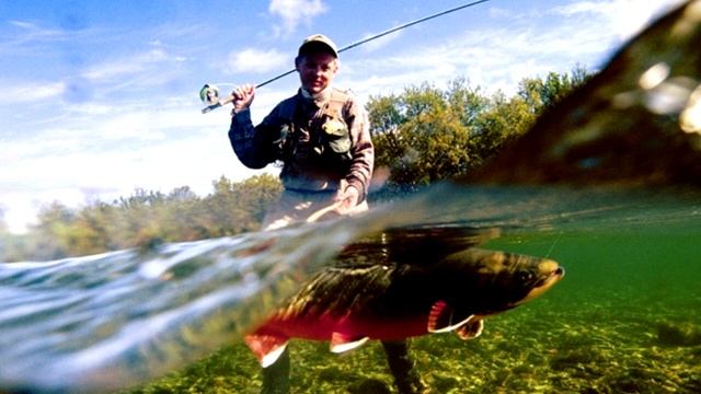 На что ловить усача