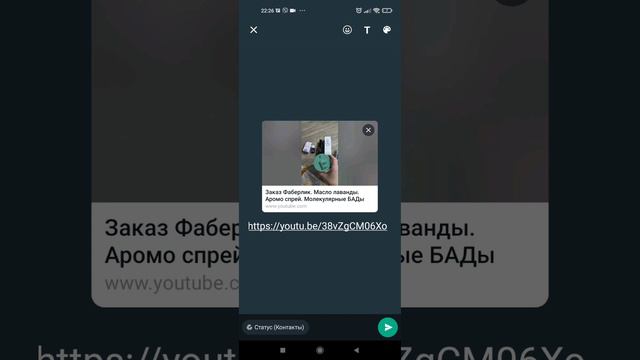 Как разместить статус в WhatsApp вместе с ссылкой