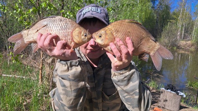 ГИГАНТСКИЙ КАРАСЬ НА ПОПЛАВОК ! Рыбалка на карася. Весенняя ловля на удочку как в детстве.