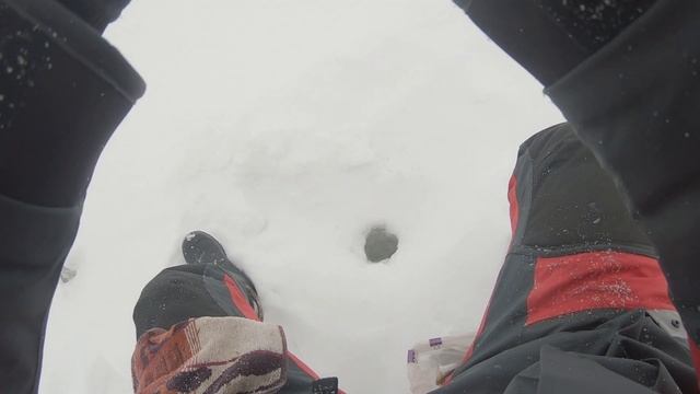 Окунь на зимнюю блесну. Техника ловли. Уловистые блесны и проводки