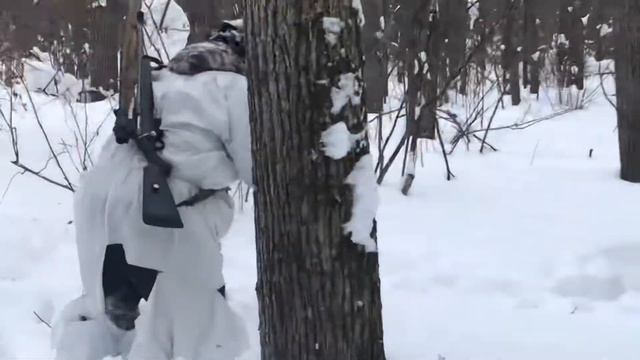 Охота на кабана с ножом и лайками