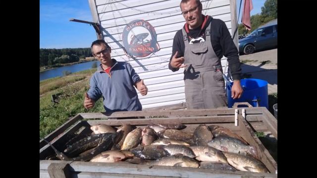 Оснастка на осетра донная