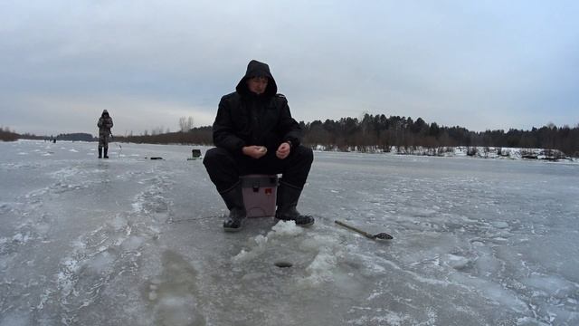 Безкивковая удочка в деле. Наконец то попали на клев.