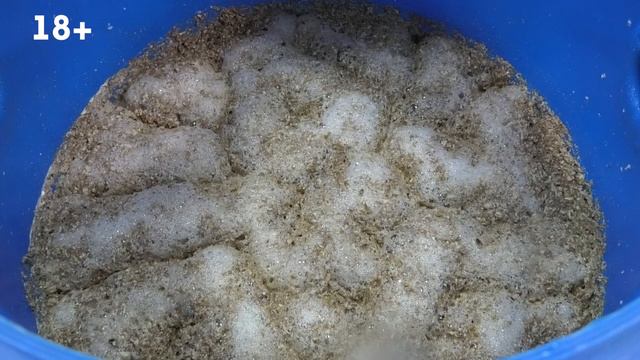 Виски из гречки какой вы еще не пробовали! В автоклаве на двойном солоде! Не Эдду, но  кто знает...