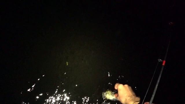 Нашел способ поймать налима. Хороший клев налимов в ноябре