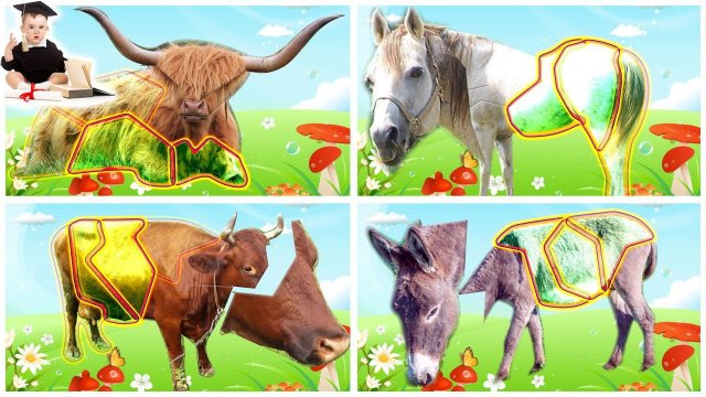 Животные для детей. Картинки из отрезков. Развивающий мультик про животных