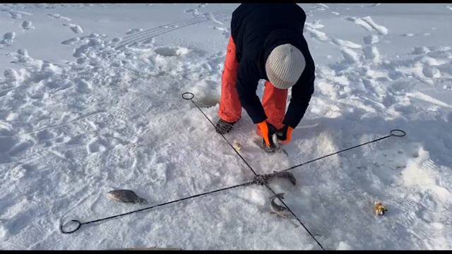 Зимняя рыбалка на реке Амур январь 2024