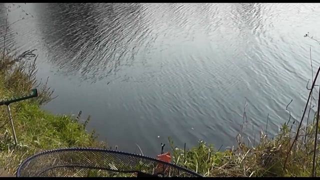 Рыбалка с Пашком, Фидер на Реке Пахра