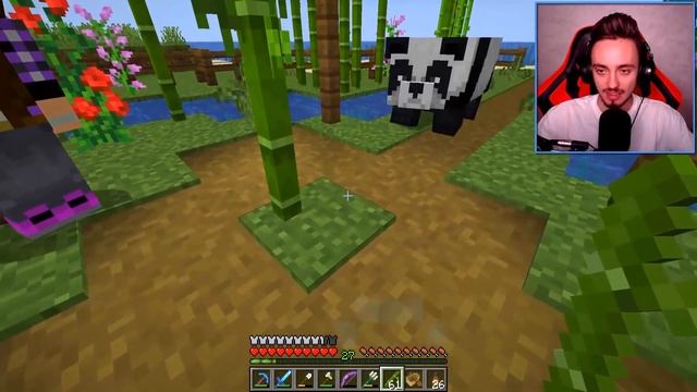 НОВЫЙ ДОМ ДЛЯ ПАНДЫ ? У ЭДИСОНА И КАТИ ? В МАЙНКРАФТ