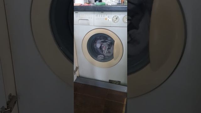 стиральная машинка гудит стирается белье странные звуки стиральной машинки