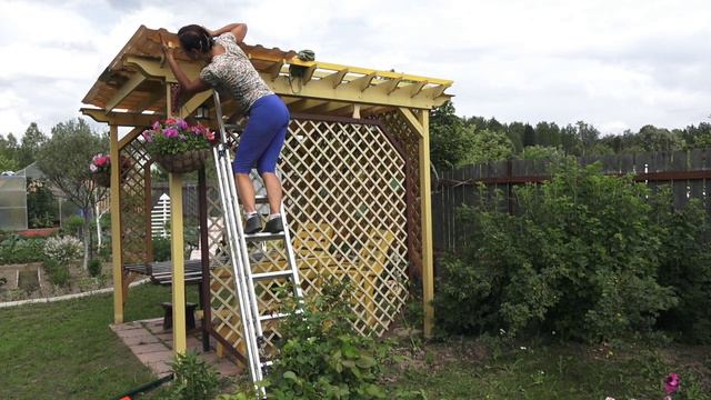 6 соток 12 июня 2024 года Хроника