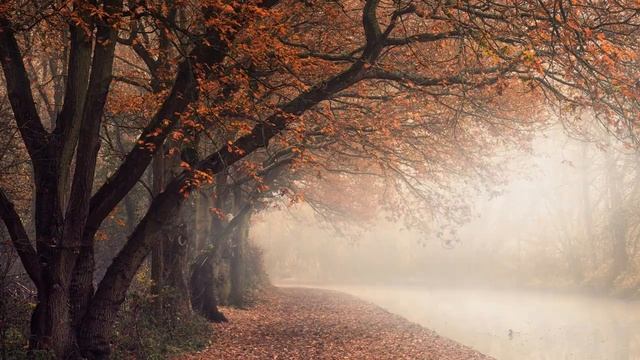 Весело Грустно Бетховен