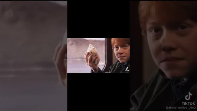 Гарри Поттер тик-ток