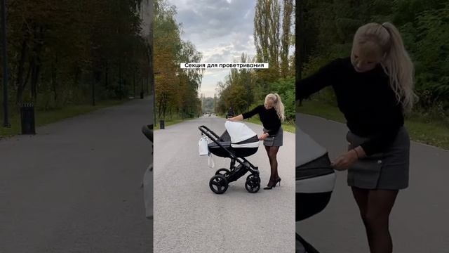 Обзор детской коляски Verdi Mirage