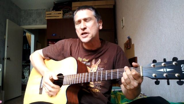 Александр Розенбаум - Извозчик - кавер на гитаре