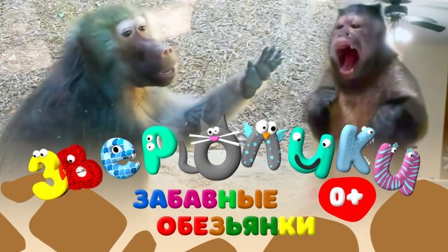 ЗВЕРОЛИКИ 2: ЗАБАВНЫЕ ОБЕЗЬЯНКИ. Смешные обезьяны / Подборка лучших видео приколов с обезьянками